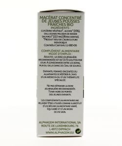 Rosier sauvage (Rosa canina) bourgeon BIO, 15 ml